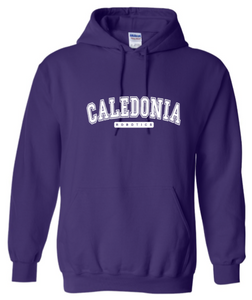 Caledonia Robotics - Caledonia Spirit Gear